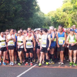 50160248_542557979590572_8836837006123204608_n