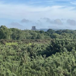 502553528_1098547108959247_1542080689307472951_n