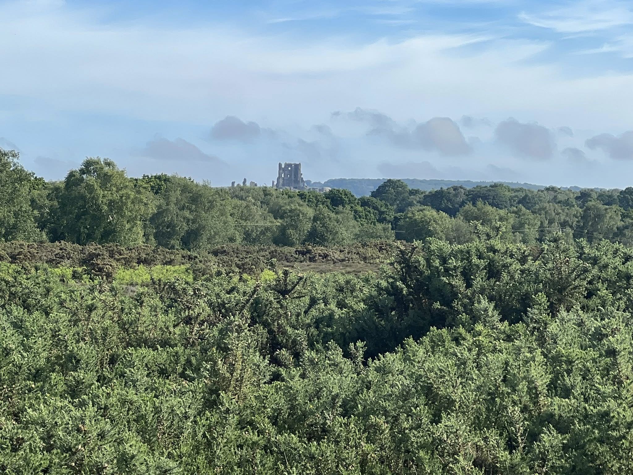 502553528_1098547108959247_1542080689307472951_n