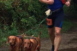 Dave and the dogs